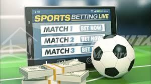 Discovering the Exciting World of Safi Bet