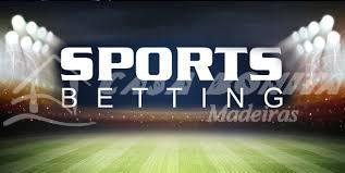 The Ultimate Guide to Tote Bet Understanding the Betting System