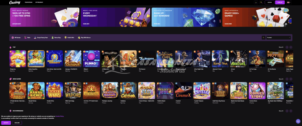 Comprehensive Guide to Casiny Payment Methods 29