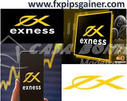 Exploring the Features of Exness Web Platform