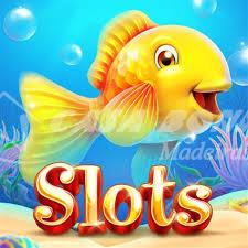 골드피쉬카지노 온라인 카지노의 새로운 기준