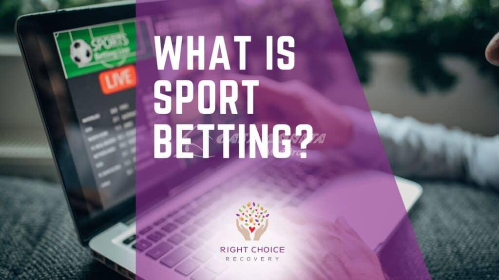 Understanding the Role of Sports Betting API Providers