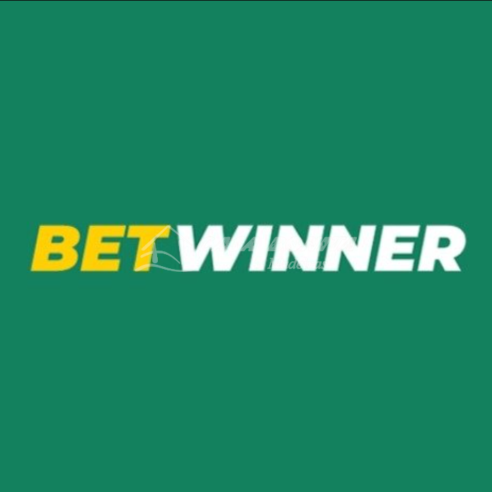 Discover the Thrill of BetWinner Casino