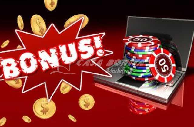 Discover the Thrills of Kingdom Casino 1