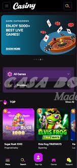 Explore the Exciting World of casiny1