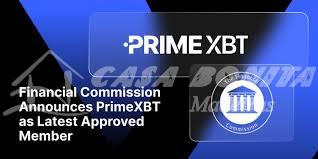 Understanding PrimeXBT Contacts Connecting with Your Trading Platform