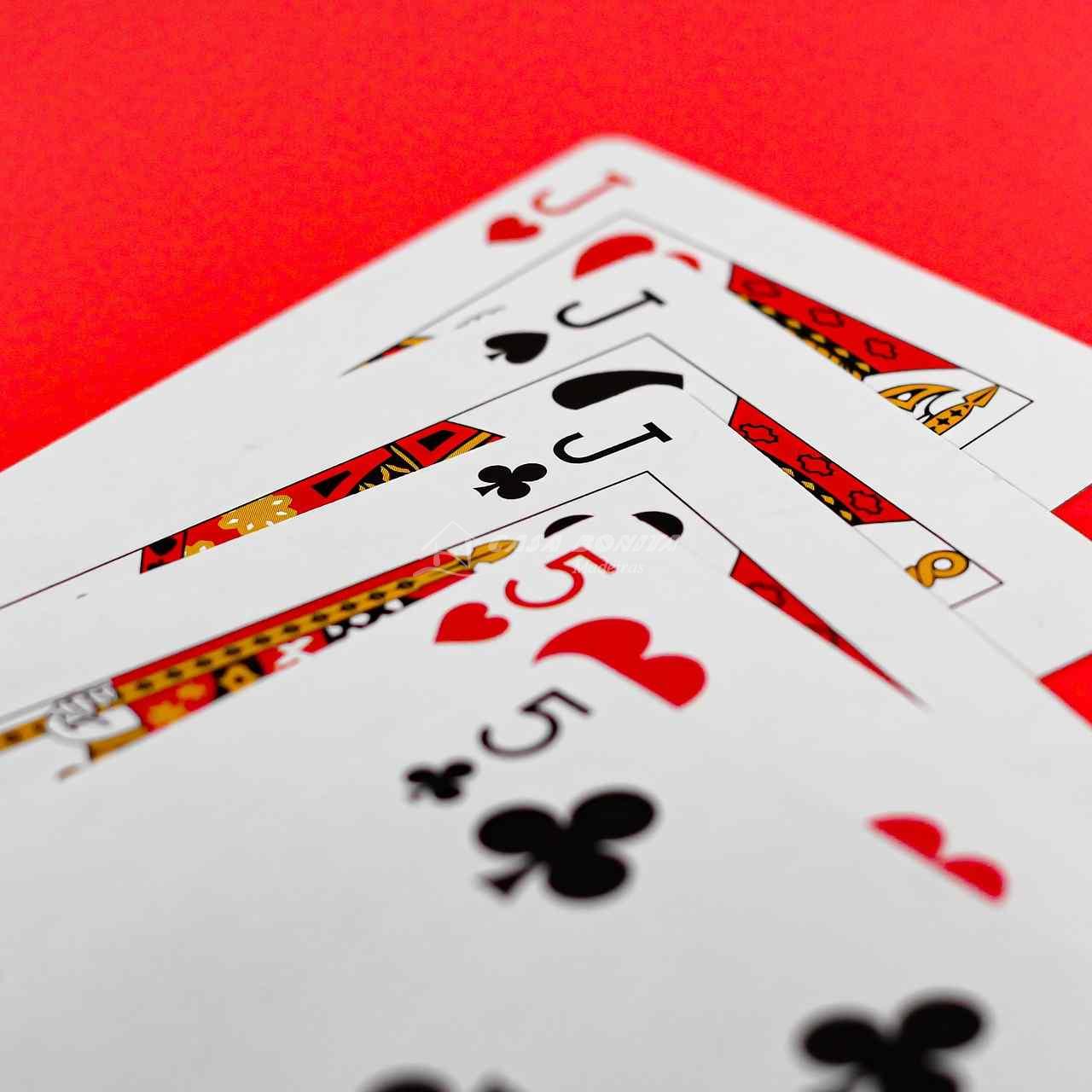 Wild Dice Casino Introduces Pulse-Racing Slots and Jackpots for UK Punters