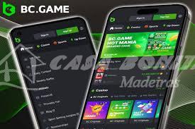 Explore the World of Gaming with BC.Game Hub