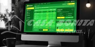 Join the BetWinner Partners Program An Opportunity for Growth