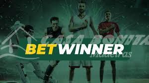 Join the BetWinner Partners Program An Opportunity for Growth