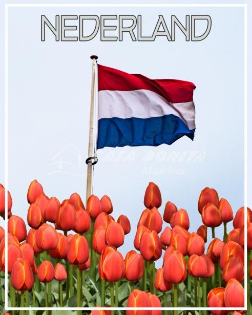 Begeleiding Op Maat voor Mensen met een Lichte Verstandelijke Beperking (LVB)