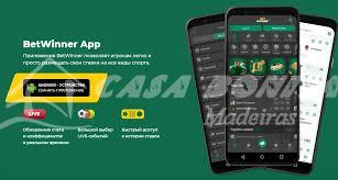 Experience the Thrill of Gaming at BetWinner Casino