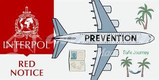 Expert Legal Assistance for Red Notice Removal