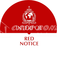 Expert Legal Assistance for Red Notice Removal