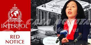 Interpol Cases Lawyers Navigating the Complexities of International Law